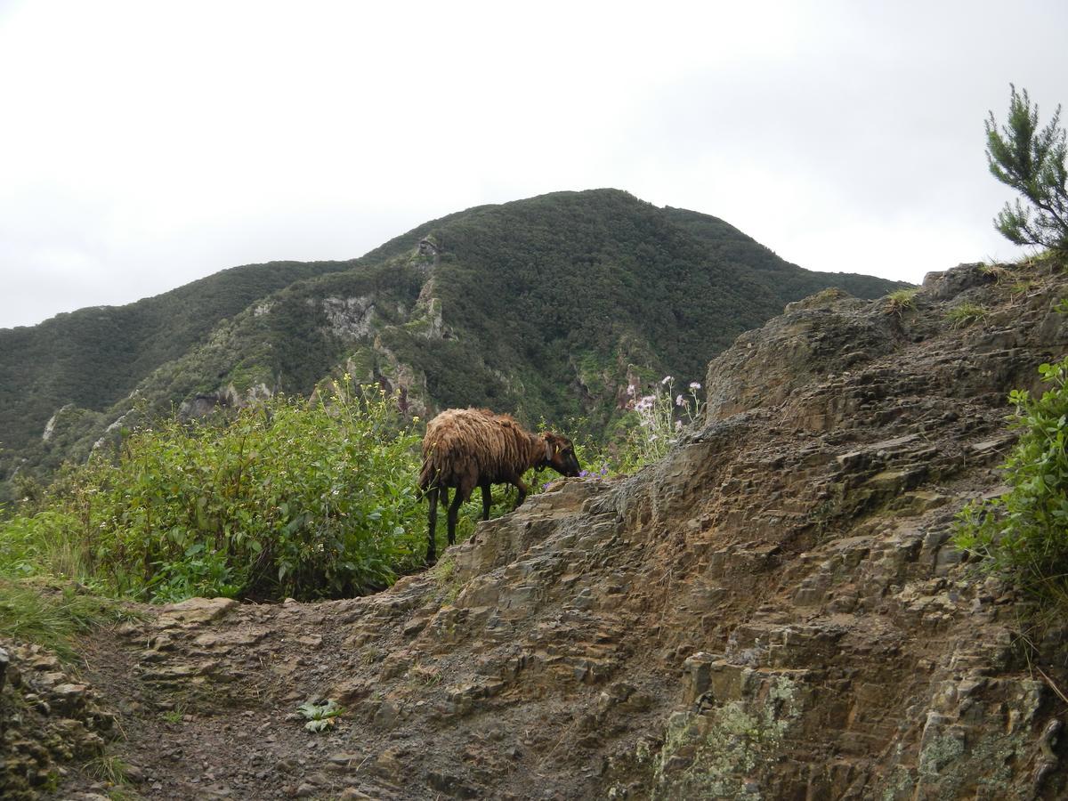 Albergue Montes De Anaga El Bailadero Екстериор снимка